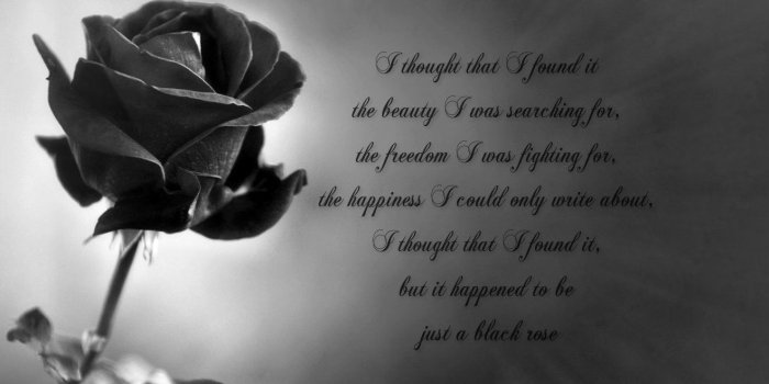 1318x1010 Rose Words Black Sad Desktop Wallpaper Flower Fields - Black And
