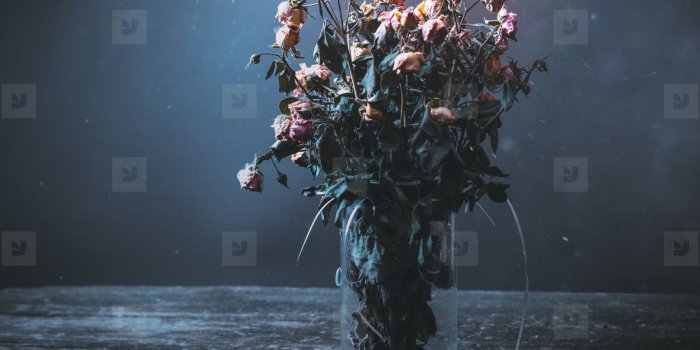 1184x1013 Dried bunch of roses in a vase on a wooden table on a black and blue  background. Concept dead flowers