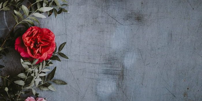 728x1094 Page 12 | 999 royalty free red rose arrangement photos for free