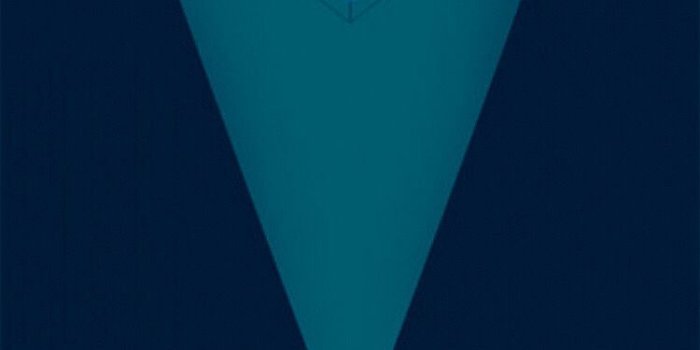 750x1334 Ravenclaw | Ravenclaw Pride! in 2019 | Harry potter cat, Harry