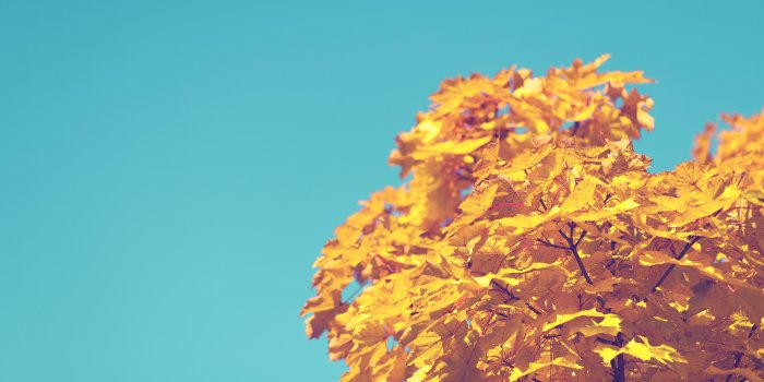 4368x2912 25 Awesome Fall Wallpapers For Your Desktop