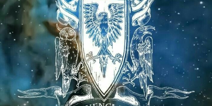 719x1280 Ravenclaw | Harry potter in 2019 | Harry potter wallpaper, Harry