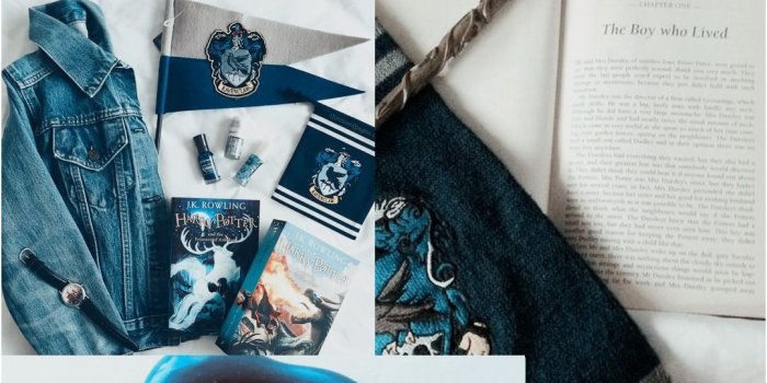 1080x1920 Harry Potter Ravenclaw Wallpapers