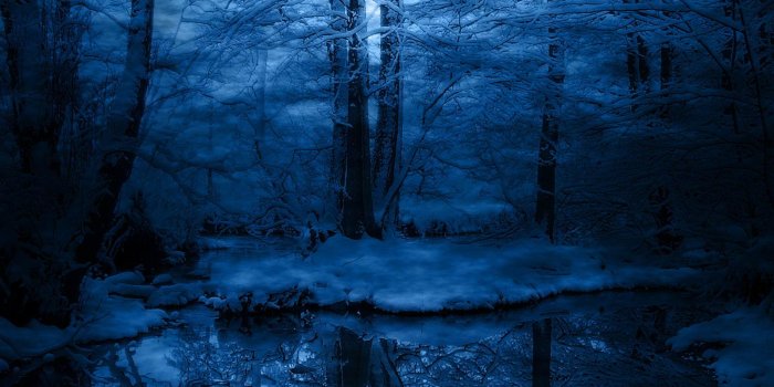 1600x1200 Bosque Oscuro - Harry Potter Patronus Deer Free Wallpaper