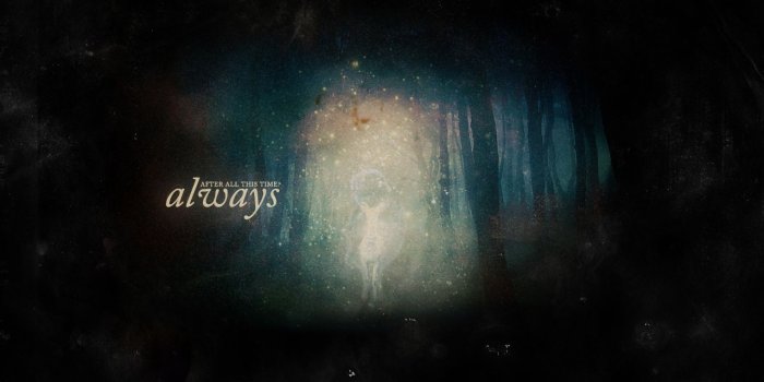 1280x1024 Best 57+ Patronus Wallpaper on HipWallpaper | Patronus Harry Potter