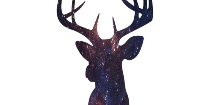 1024x1820 Harry Potter Silhouette Wallpaper