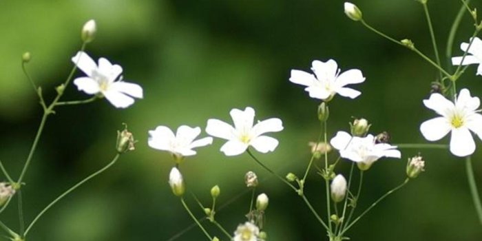 1080x1920 EntePic » Nature Wallpapers HD IPhone Group (74 ) nature wallpapers