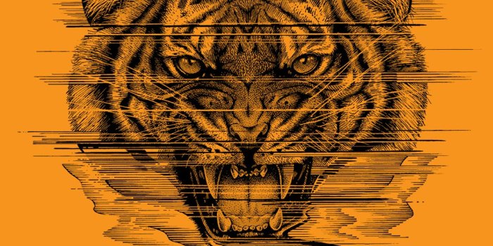 1125x2436 Skater Wallpapers
