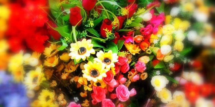 940x1671 And we are back again! – Pumpernickel Pixie