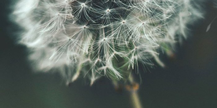 736x1308 12 Relaxing Nature iPhone Xs Wallpapers | Preppy Wallpapers