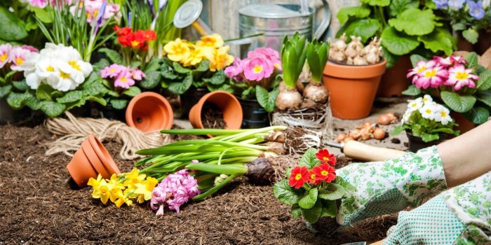 2000x1125 Wallpaper, Nature Flowers, Flower,garden, Windows Desktop Images