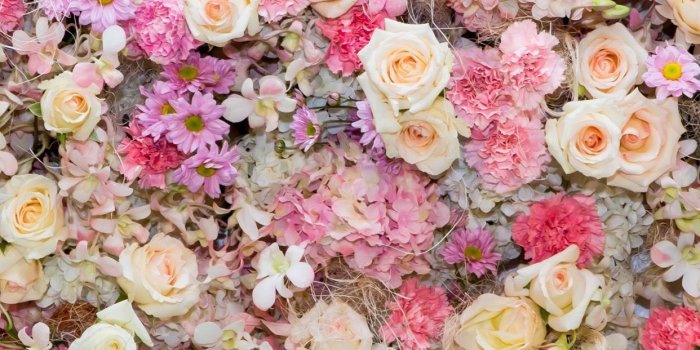 1242x2208 Anna Carrizales on Wedding Stationary | Flower wallpaper