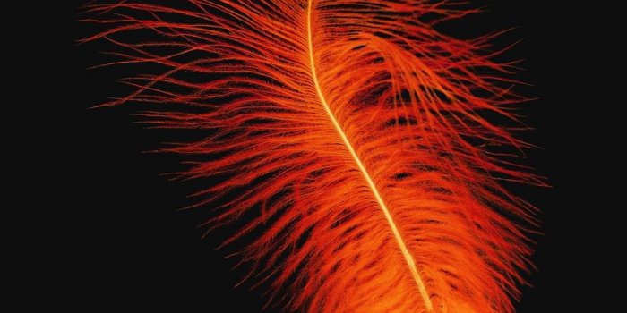 1080x1920 Dark Orange Wallpaper (84+ images)