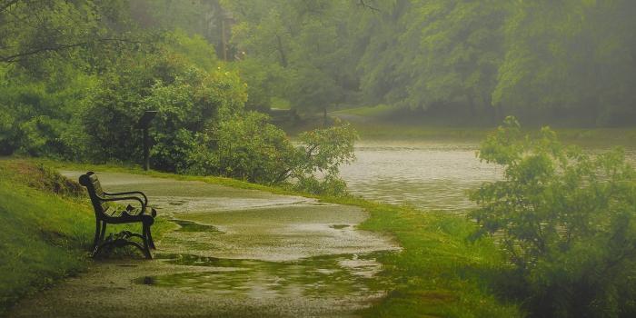 1920x1200 Full HD p Rain Wallpapers HD, Desktop Backgrounds 1920×1080 Rain