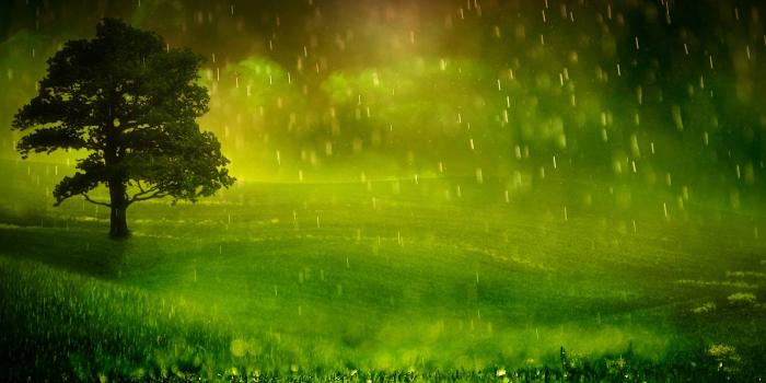 1920x1200 Best 56+ Rainy Wallpaper on HipWallpaper | Romantic Rainy Day