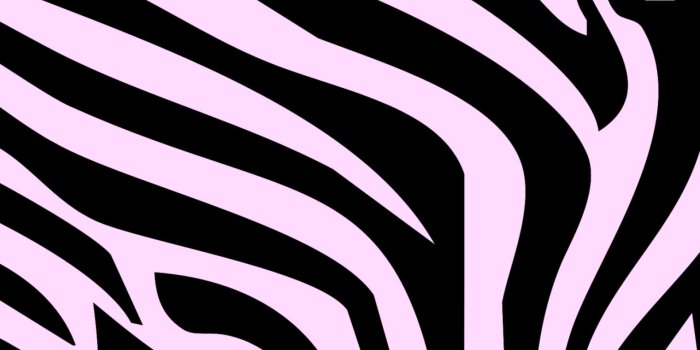 1581x930 Zebra Iphone Wallpaper | This Wallpapers