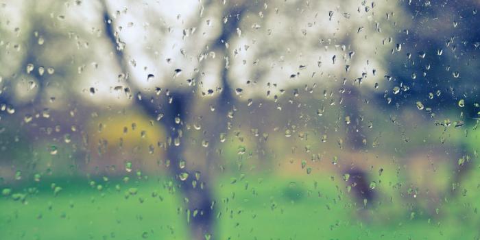 1600x1063 Best Nature Wallpaper: Rainy Day, 727571, Nature