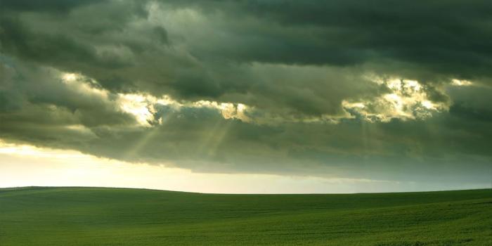 1024x768 Rainy Wallpaper - Wallpapers Browse