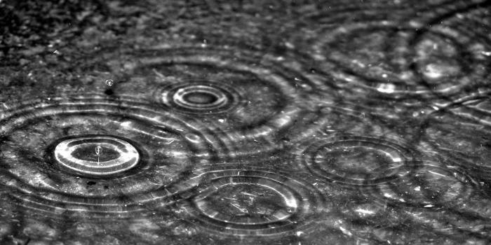 2560x1600 Desktop Backgrounds: Rainy (#TCN6464, INC:46, HD Widescreen)