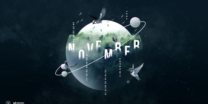 2560x1440 Colorful Inspiration For Gray Days (November 2018 Wallpapers