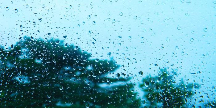 1280x800 Desktop Backgrounds: Rainy (#TCN6464, INC:46, HD Widescreen)