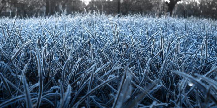 1600x1080 iPad Mini wallpapers Page 143: River Fields Dias Hills Ponds Nature