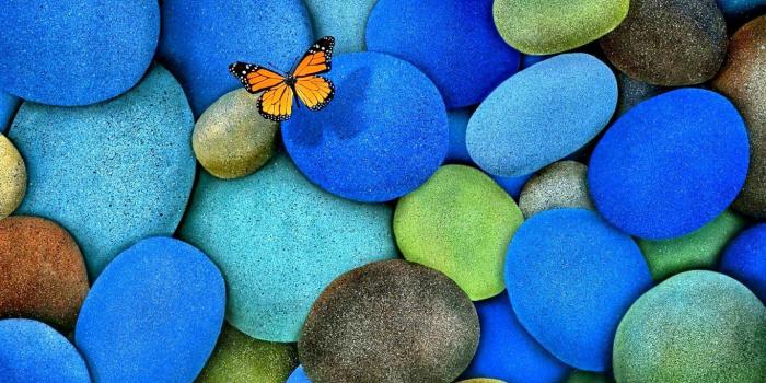 1366x768 Forces of Nature: Home Day Rain Rainy Wood Green Cold Nature Picture