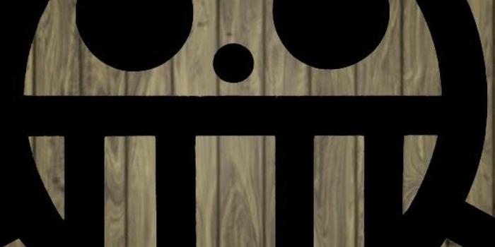 1080x1920 One Piece Logo Wallpaper (61+), Find HD Wallpapers For Free