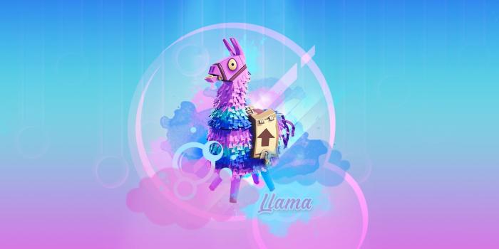 1920x1080 Fortnite Dj Lama