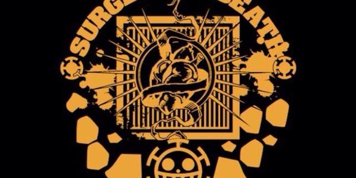 721x1280 One Piece Logo Wallpapers - Top Free One Piece Logo Backgrounds