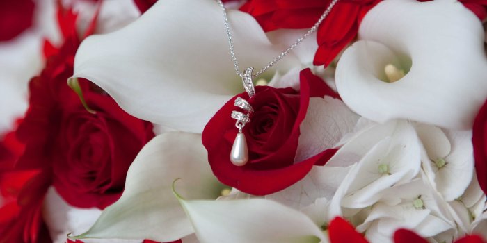 2880x1800 Red And White Rose Background Wallpaper 08054 - Baltana | Rose