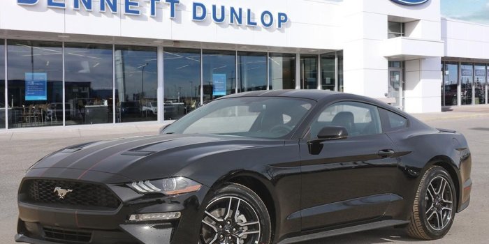 1024x768 Ford Mustang for sale in Regina, SK | Bennett Dunlop Ford