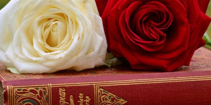 1024x768 Wallpapers Of Red White Roses