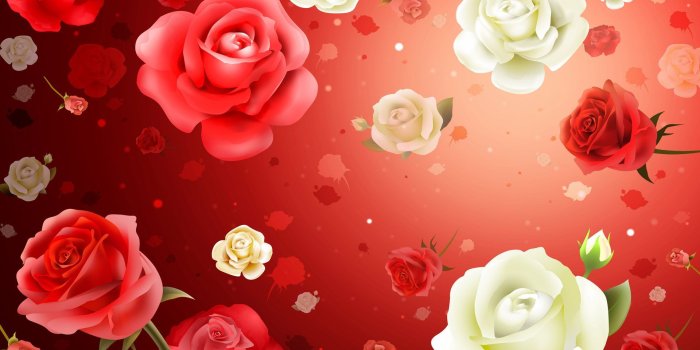 1920x1200 Free Roses Wallpapers Wallpaper | wallpapers | Beautiful flowers