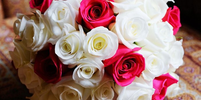 1280x851 Image bouquet Red White Roses Flowers
