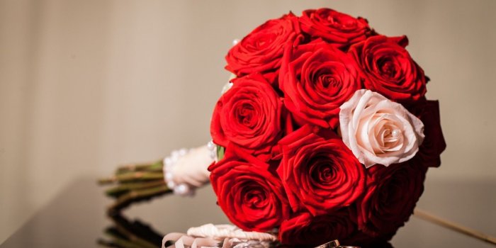 1920x1080 habrumalas: Purple And White Rose Wallpaper Images