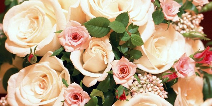 1280x1024 Bunch of Roses Wallpapers in jpg format for free download