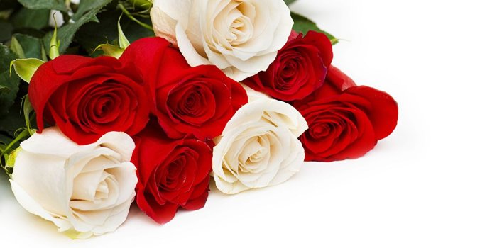 1280x851 Pictures Bouquets Roses flower White background
