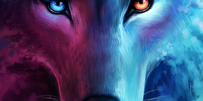 2048x2048 2048x2048 The Galaxy Wolf Ipad Air HD 4k Wallpapers, Images