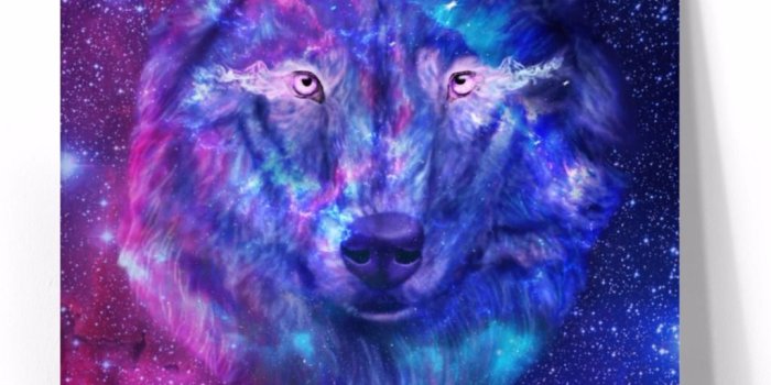 1024x1091 Galaxy wolf