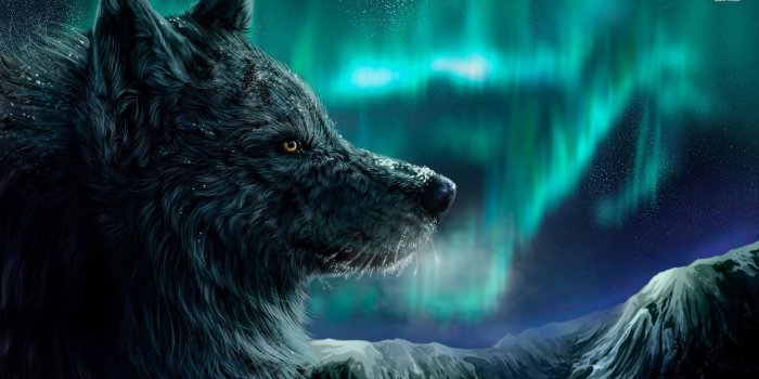 1920x1080 Anime Wolf Wallpaper ·① WallpaperTag