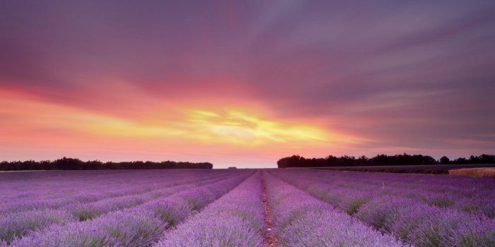 1440x900 Figure aesthetic mood wallpaper purple tones 49390 - Rural scenery