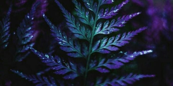 720x1280 OHPRINCA Presentation on Natural / Amazing in 2019 | Iphone