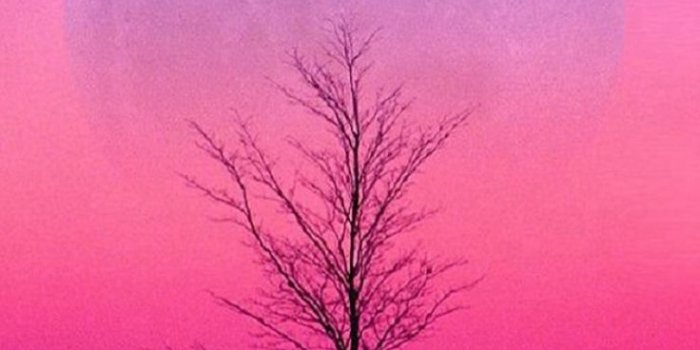 736x1308 Purple Aesthetic Phone Wallpapers - Top Free Purple Aesthetic Phone