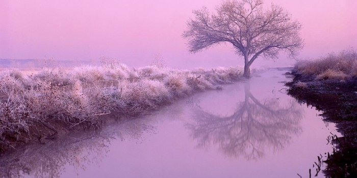 1440x900 Figure aesthetic mood wallpaper purple tones 49459 - Rural scenery