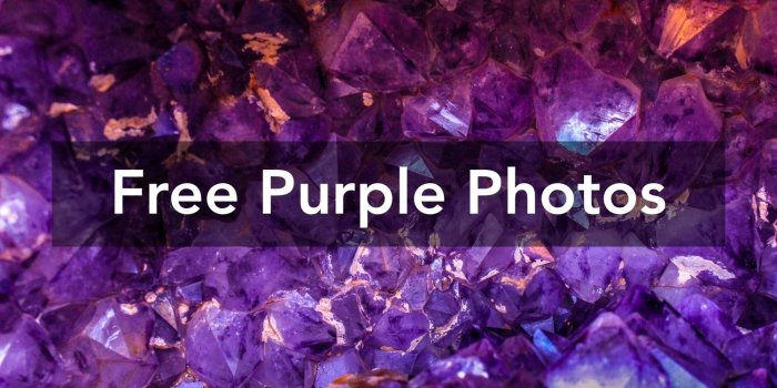 1500x1000 500+ Great Purple Photos · Pexels · Free Stock Photos