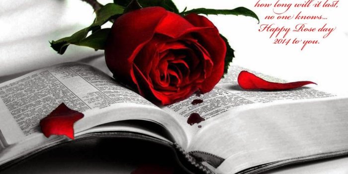 1024x768 Happy Rose Day 2014 English SMS, Quotes, Wishes, Pictures, Images