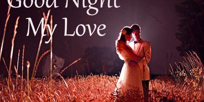 1024x768 Good Night My Love Romantic Couple Hd Wallpapers (#37820) - HD