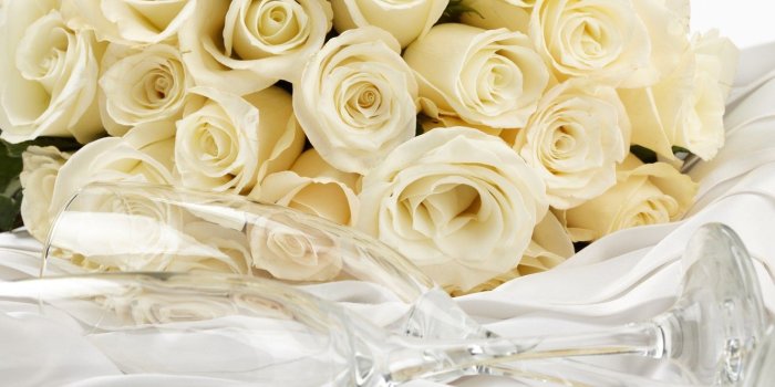 1332x850 Wallpaper bouquet, glasses, white, white roses, flowers, roses