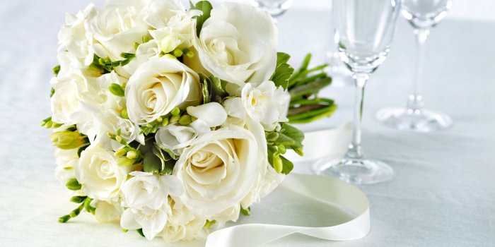 2560x1600 White Rose - White Wallpaper (34727338) - Fanpop